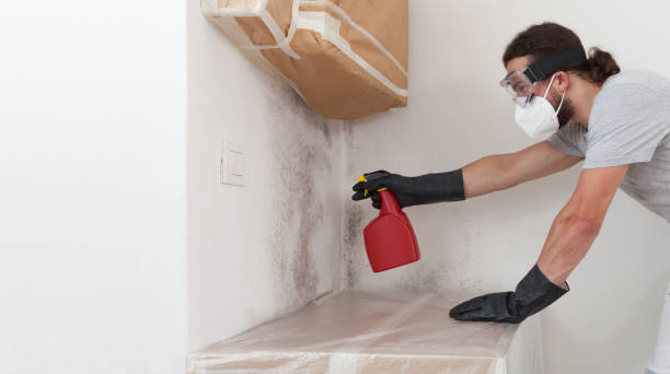 Professional Mold Cleanup technician working in Glen Cove, NY